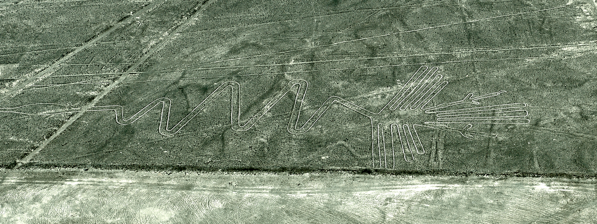 20200305 363 [페루] 나스카 라인